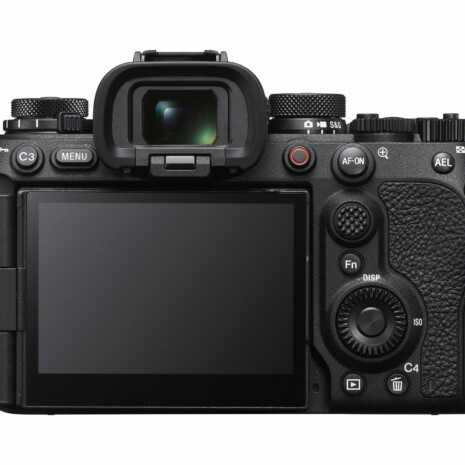 2. Alpha 1 II Back (1) 2. Alpha 1 II Back (1)