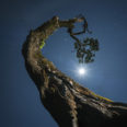 6. Sample Image Liam Man