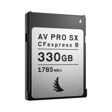 AngelBird330gb AngelBird330gb