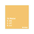 Maize 31