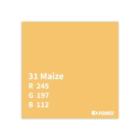 Maize 31