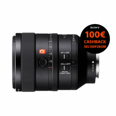 SEL100F28GM-FI SEL100F28GM-FI