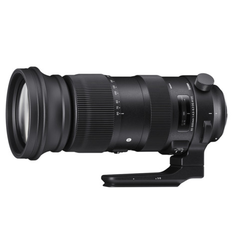 SIGMA 60 600mm F4.5 6.3 DG OS HSM | S Horizontal SIGMA 60 600mm F4.5 6.3 DG OS HSM | S Horizontal