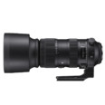 SIGMA 60 600mm F4.5 6.3 DG OS HSM | S Horizontal EO