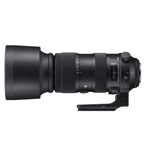 SIGMA 60 600mm F4.5 6.3 DG OS HSM | S Horizontal EO SIGMA 60 600mm F4.5 6.3 DG OS HSM | S Horizontal EO