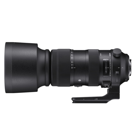 SIGMA 60 600mm F4.5 6.3 DG OS HSM | S Horizontal SA SIGMA 60 600mm F4.5 6.3 DG OS HSM | S Horizontal SA