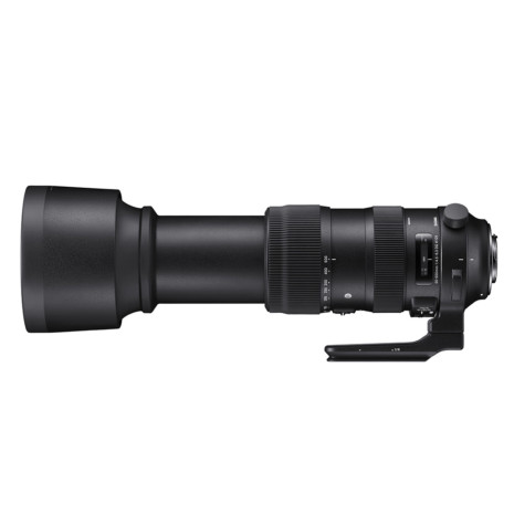 SIGMA 60 600mm F4.5 6.3 DG OS HSM | S Horizontal Tele SIGMA 60 600mm F4.5 6.3 DG OS HSM | S Horizontal Tele