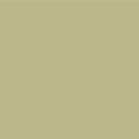 rouleau-fond-papier-bd-1-36-x-11-m-pistachio (1)