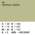 Superior Background Paper 13 Tropical Green 2 72 X 11m Full 585113 5 43241 711