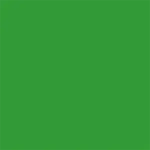 Background Chroma Key Green 3,56 x 15m